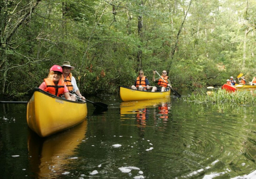 Group of canoers